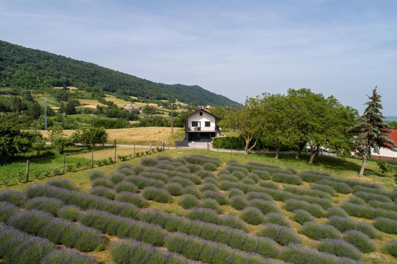 Vacation Home - Nest Kalnik Exterior foto